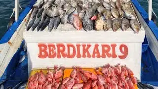 Mancing Pesta Strike di KM Berdikari 9 Bersama Happy Angler dan Sahabat JOP