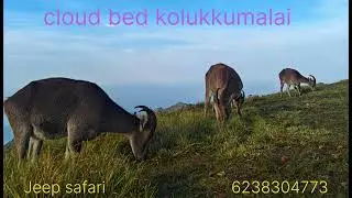 Kolukkumalai Sunrise # kolukkumalai cloud bed #cloudpath # Jeep safari#travel 