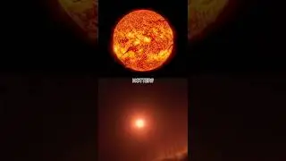 The Sun Vs Proxima Centauri #shorts #space #stars
