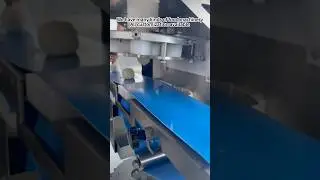 Shanghai Chengtao food machinery #chengtao #machine #food #factory #dumplings #foodmachine #youtube