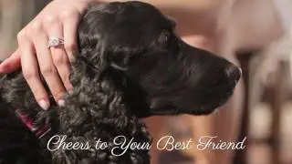 Cheers to Your Best Friend - Devotion Diamonds with Forevermark