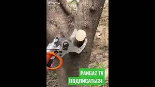#New #Technology #Технологияи #Нав #Новая #технология #ShortsHD ПОДПИСАТЬСЯ 👋👋👋✔