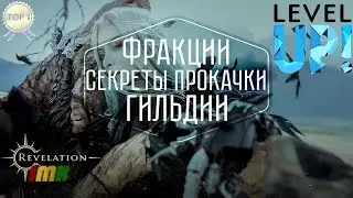 Revelation Online - путь новичка от А до Я. Секреты быстрой прокачки персонажа и застройка гильдии