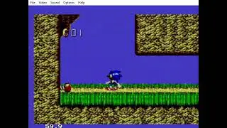 Video Game Glitch 1727: Sonic Blast (Master System) - Graphical Garbage Glitch 2!