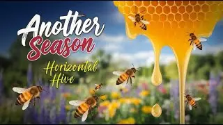 What's Happening in the Horizontal Hive This Season?