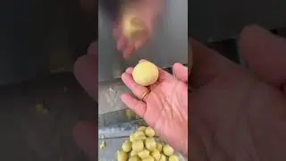 Multifunction Purple Potato Ball Forming Machine / small dough ball divider cutter rounder machine