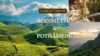 A GREAT SCENIC VIEW IN BODIMETTU & POTHAMEDU IN MUNNAR, KERALA 🌱✨️ ☁️@OhMyUlagam