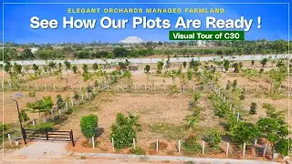 Best Managed Farmland Near Bangalore | Elegant Orchards Estates | 28 Acre Green Paradise #farmland
