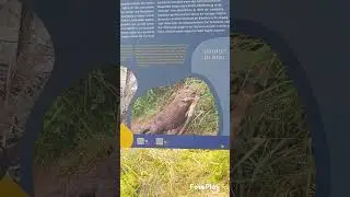 Поездка в баварский лес . Bayerische Wald 
