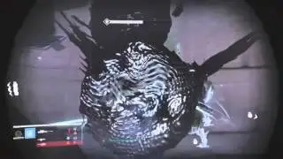 Destiny - nightfall (1 man #week1)