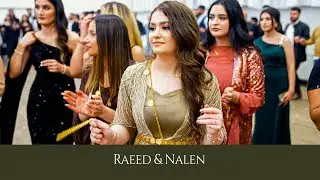 Xesan Asad - Raeed & Nalen - Part 04 - Alia Deko - #Kurdischehochzeit #MirVideoProduction ®