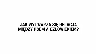Jak wytwarza się relacja między psem a człowiekiem?