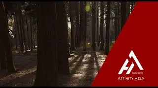 Come si usa il Colore Selettivo | Affinity Photo | Tutorial Italiano