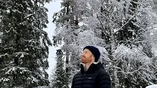 Getting ready for Christmas in Lapland | kittens first time in snow and getting our Christmas tree