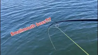 Osoyoos lake smallmouth bass fishing 🎣 