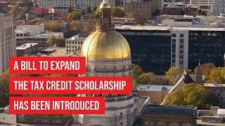 More students in Georgia's tax credit scholarship program?