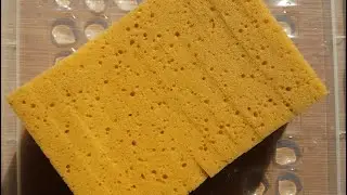 Wet sponge slicing & separating |WATCH IN HD| ig @asmr_by_ann