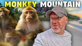 Monkey Madness in Hua Hin, Thailand's Expat Paradise!