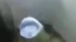 Toilet dame da ne