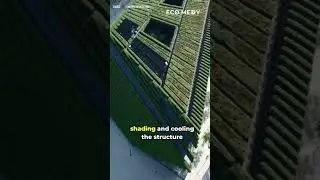 Europe&rsquo;s Largest Vertical Forest&mdash;8km of Trees Covering a Building! 🌿🏙️
