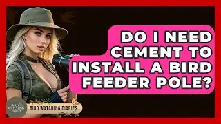 Do I Need Cement To Install A Bird Feeder Pole? - Bird Watching Diaries