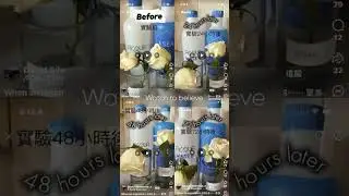 Asea flower testimony with Redox Signaling Molecule ASEA