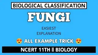 KINGDOM FUNGI WITH ALL EXAMPLE TRICKS 💡