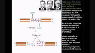 The Birth of Modern Biotechnology | Biotech |@biologyexams4u