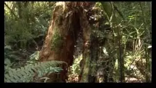 Certificate in Environmental Management Episode 2