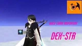 Toram online Build DS(Dual Sword) Lunar DEX-STR