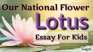 20 lines Essay on our national flower LOTUS in English for class 1 to 5