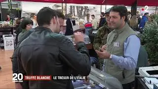 Truffe blanche du Pi&eacute;mont, d&eacute;c 2018