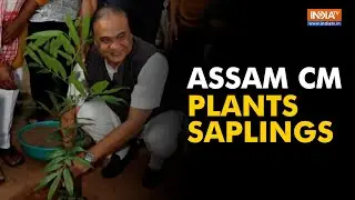 Assam CM Himanta Sarma plants saplings under Amrit Brikshya Andolan initiative