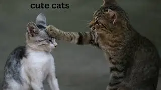 Cat Paw On Head Existential Photo And Text Meme