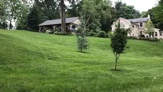 The Green Lawn Fertilizing Process