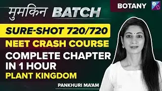 NEET 2023 - Plant kingdom in One Shot | Crash Course | NEET Biology | Pankhuri Ma'am