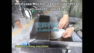 Shenghui squid cutting machine squid flower cutter seafood processing machine meat cutting equipment