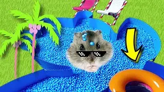 🐹 Hamster Escapes the Pool Maze for Pets 🐹 in Hamster Stories