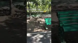 Normal Day in Thailand 😫