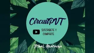 Put Your Hands Up (Percy Delicious Tribeton Pvt 2023)INTRO