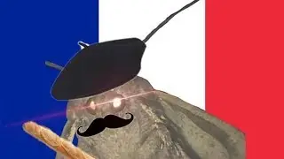 Best Moth Memes!