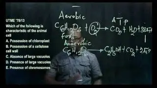 Varieties of Organisms 1