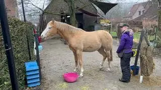 Flash start button met als doel staart wassen ooit 3feb2026