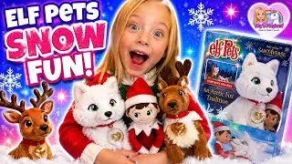Elf Pets Snow Fun with  Arctic Fox & Reindeer ❄️🎄