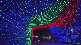 Bronx Zoo's spectacular Holiday Lights opening for the season