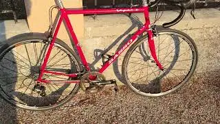 Basso Viper neo retro' - Campagnolo Record 11 speed.