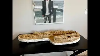 MY MOSASAUR IS FINALLY HERE! MOSASAURUS DINOSAUR FOSSIL JR BISSELL PIRATE GOLD COINS