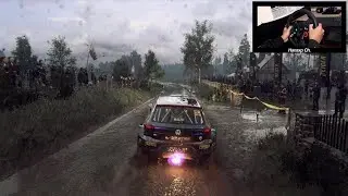 Petter Solberg VW Polo GTI R5 - Poland Rally Stage | DiRT Rally 2.0 - Logitech G29 Steering Wheel
