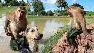 SokYaa love Swim So Much, Best Video