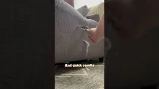 Watch how to remove lint and dog hair effectively from furniture